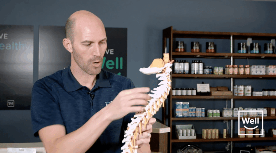 Why You Should Contact Your Chiropractor First About Back Pain