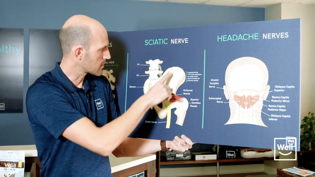 The Main Reason a Chiropractor Is Great For Sciatica