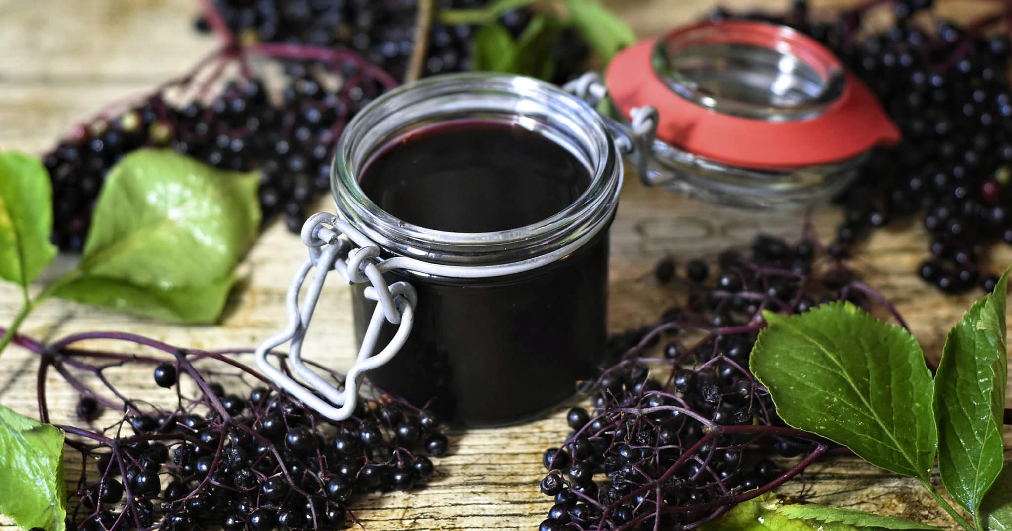 Elderberry- Antiviral Benefits For Colds & Flus